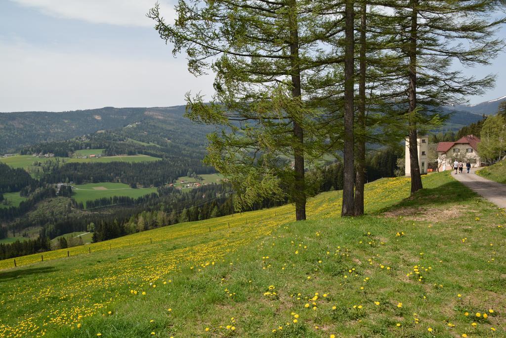 Gaestepension Edeltraud Hotel Hirschegg  Bagian luar foto