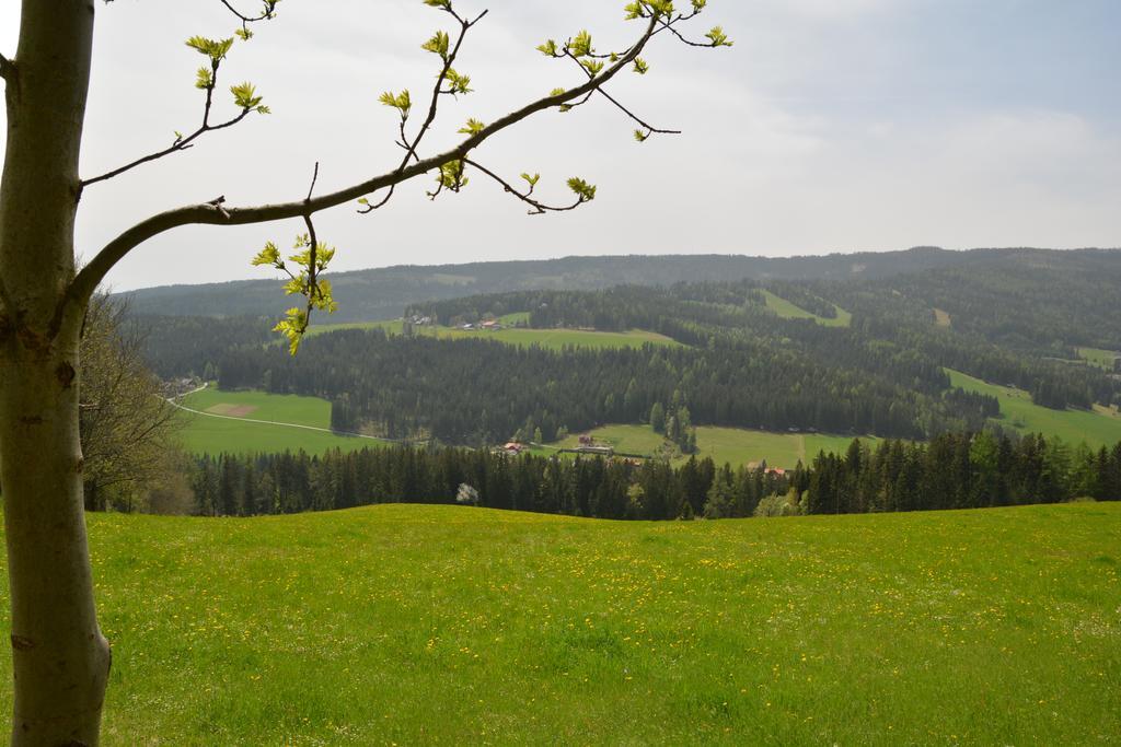 Gaestepension Edeltraud Hotel Hirschegg  Bagian luar foto